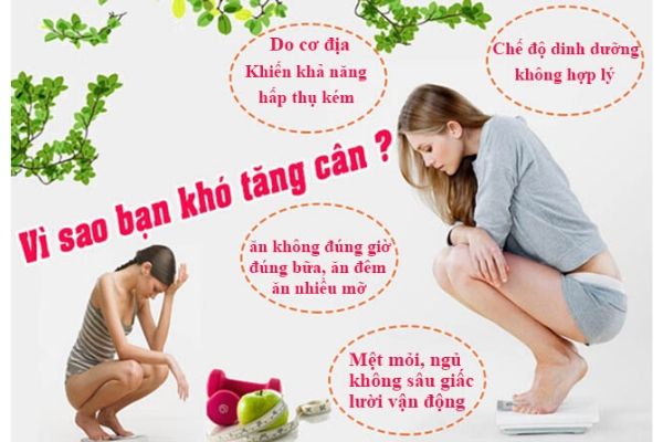 Lý do khiến bạn khó tăng cân