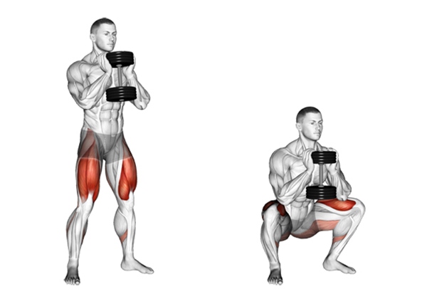 Tập goblet squat đúng cách